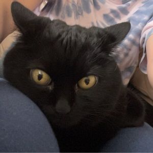 Meet your Posher, Leah